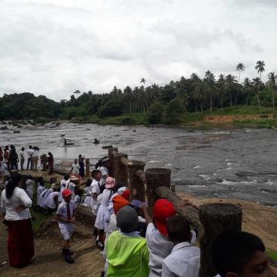 449830534 462583550061038 4653959280528366481 N