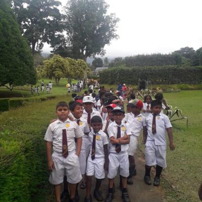 450585711 462583476727712 6613350411219547416 N