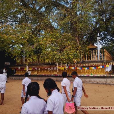 451112525 462583703394356 2102127610178707901 N