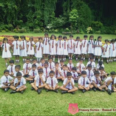 451138716 462583216727738 1598233790031476003 N