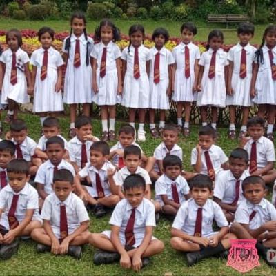 වාර්ෂික අධ්‍යාපන චාරිකා -  ප්‍රාථමික අංශය