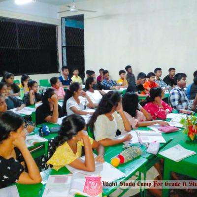 450908256 462542546731805 1196523217463431641 N