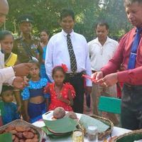 437783651 405351792450881 1742072636421433266 N