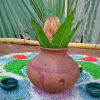 438737569 405351655784228 6781500401365349519 N