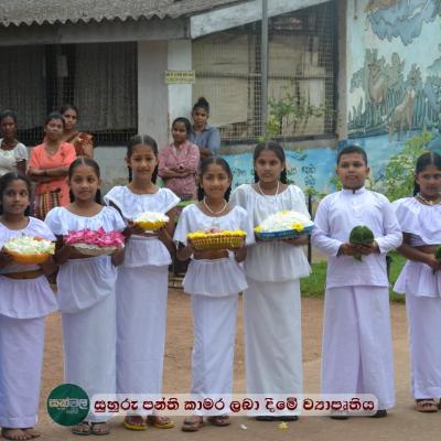 451688456 468539836132076 8253466114682415824 N