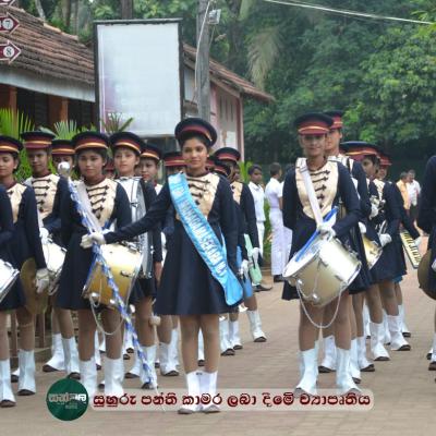 452254328 468539866132073 6629349817736417669 N