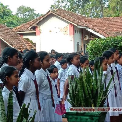 453087302 473118699007523 3894094499928001384 N