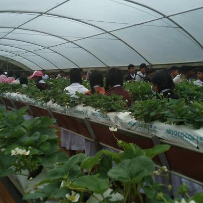 451995991 1225099578648096 1306069078310190714 N