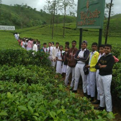 452041846 1225099661981421 5653541109204022220 N