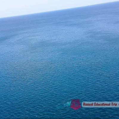 451980156 467145169604876 3271174889261534017 N