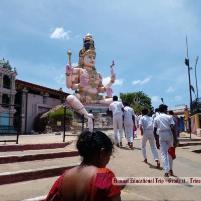 452003676 467144576271602 7221739345121331582 N