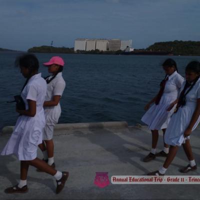 452082134 467144669604926 6448172939416887824 N